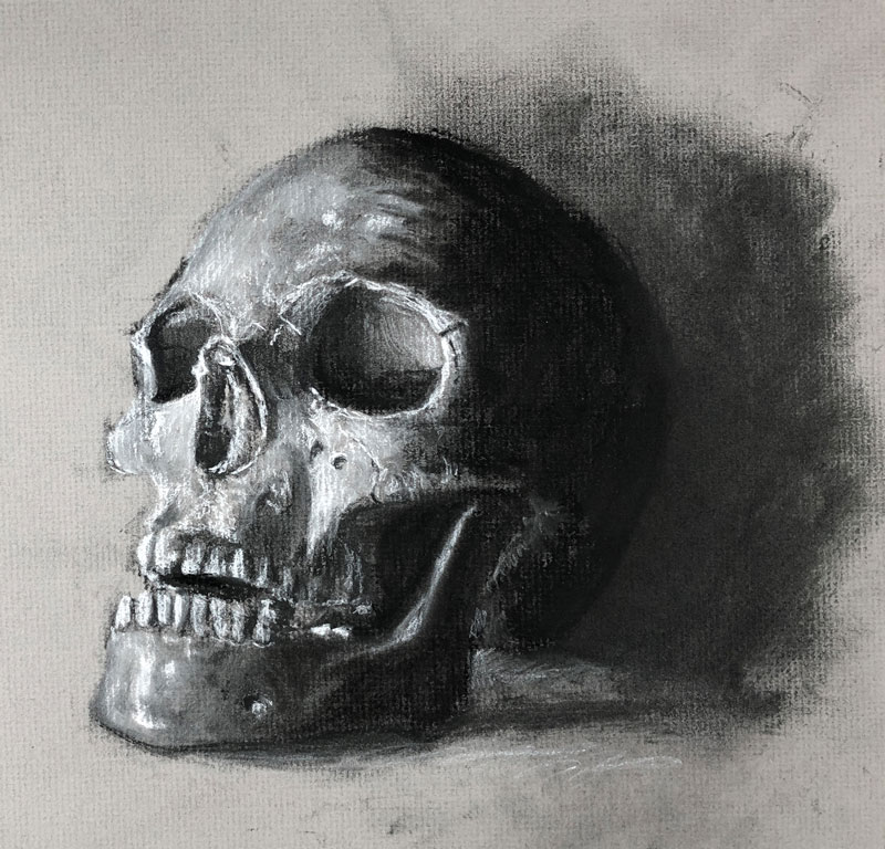 Charcoal Drawing on Gray Paper – Timed Drawing Exercise